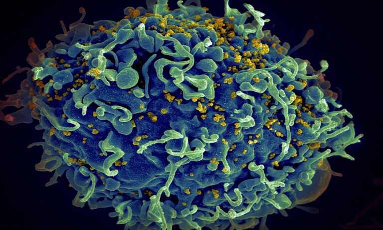 AcadTune_Career in Microbiology_Low